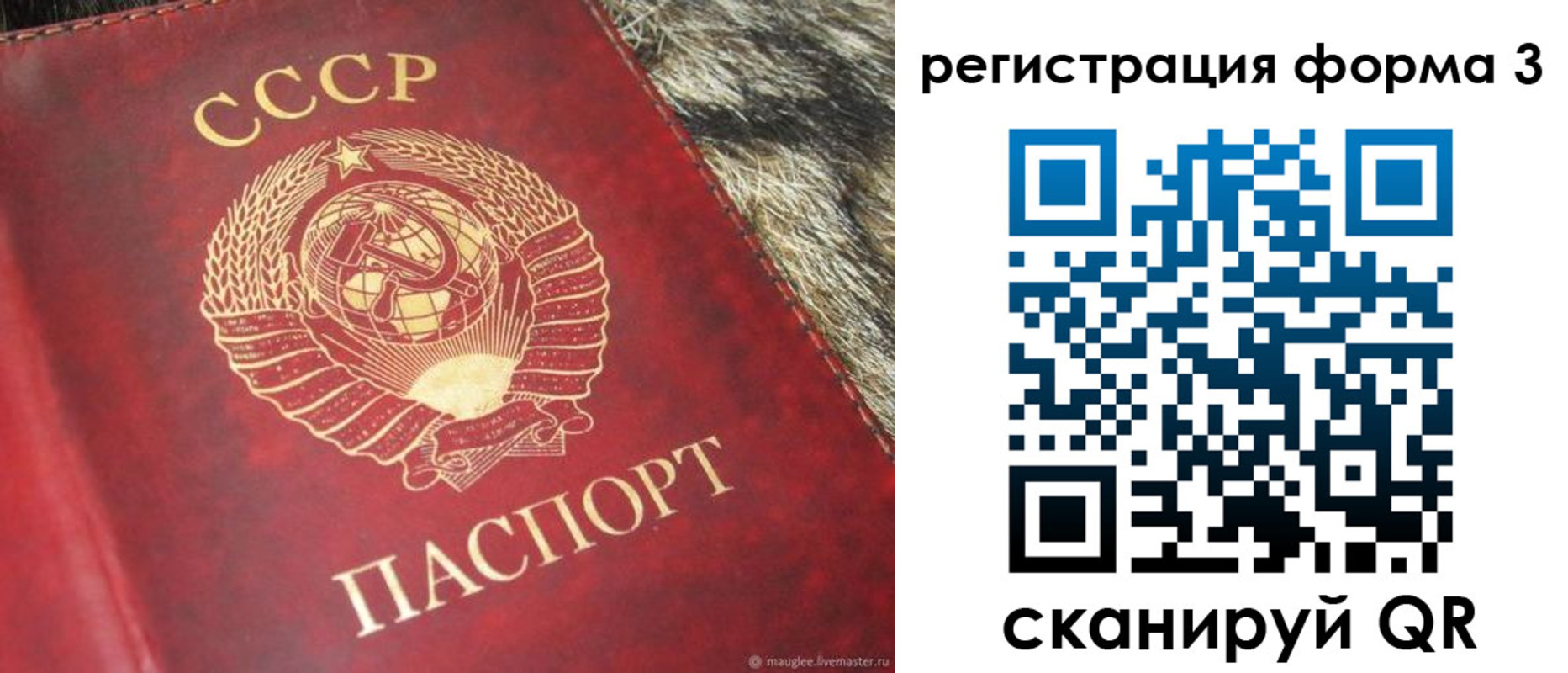 прописка регистрация в Клинцах